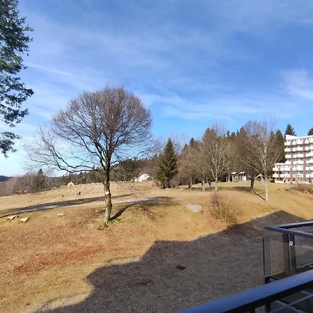 Apartment Sauna, Pool Und Gartenzugang Sankt Englmar