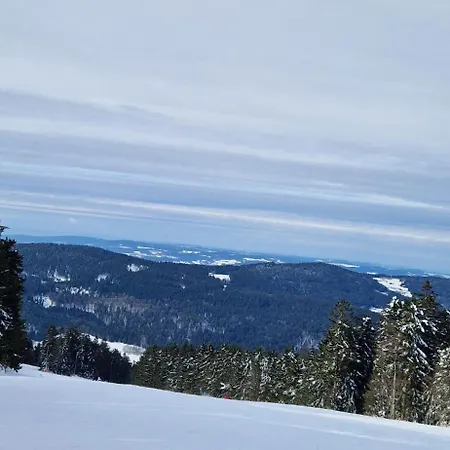 Sauna, Pool Und Gartenzugang Daire *