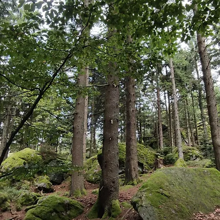 Sauna, Pool Und Gartenzugang
