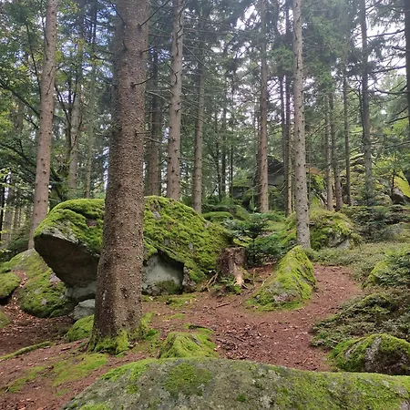 公寓 Sauna, Pool Und Gartenzugang 圣恩吉玛